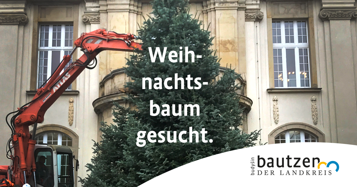 Ein Kran stellt vor dem Landratsamt Bautzen den Weihnachtsbaum auf. 